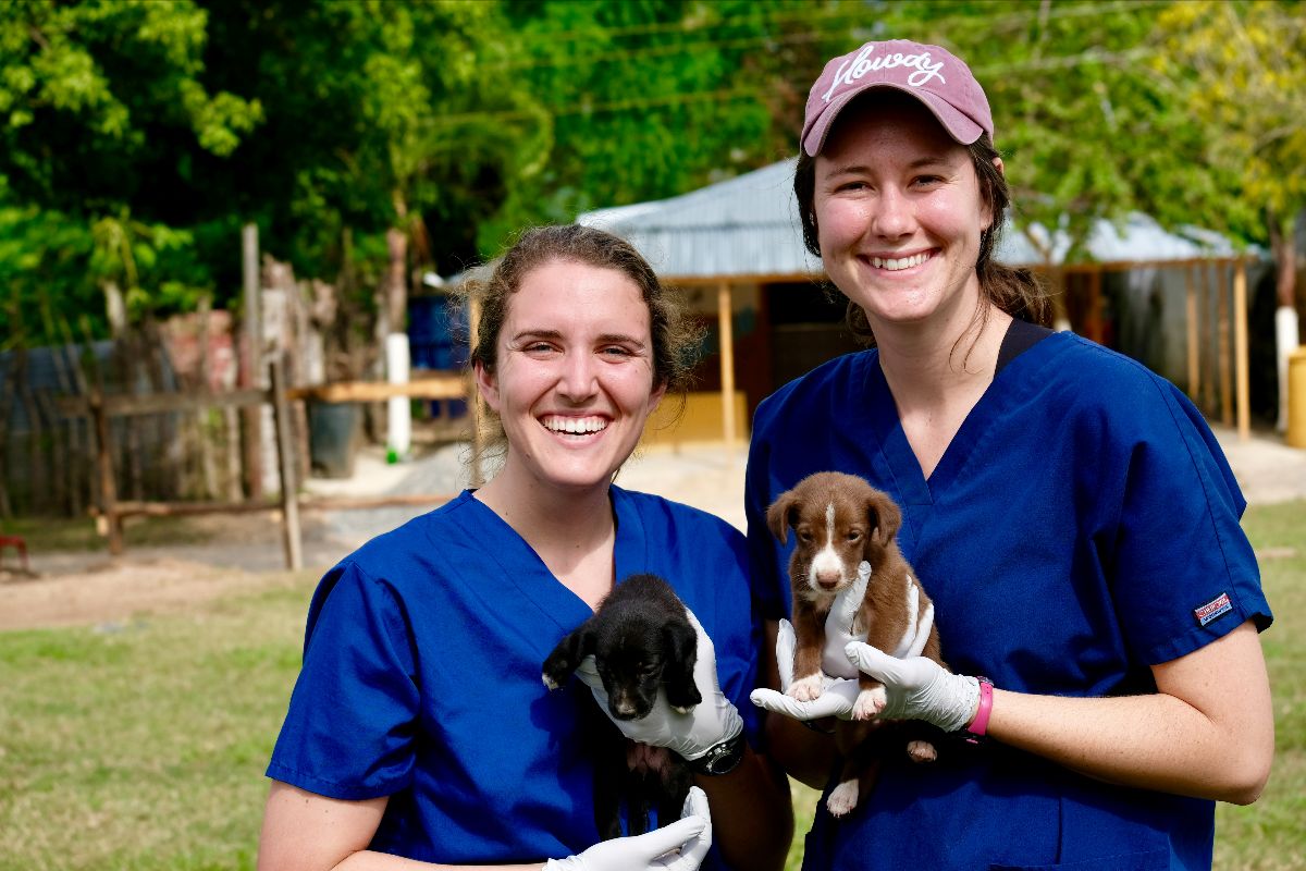 Momentum Christian Veterinary Mission